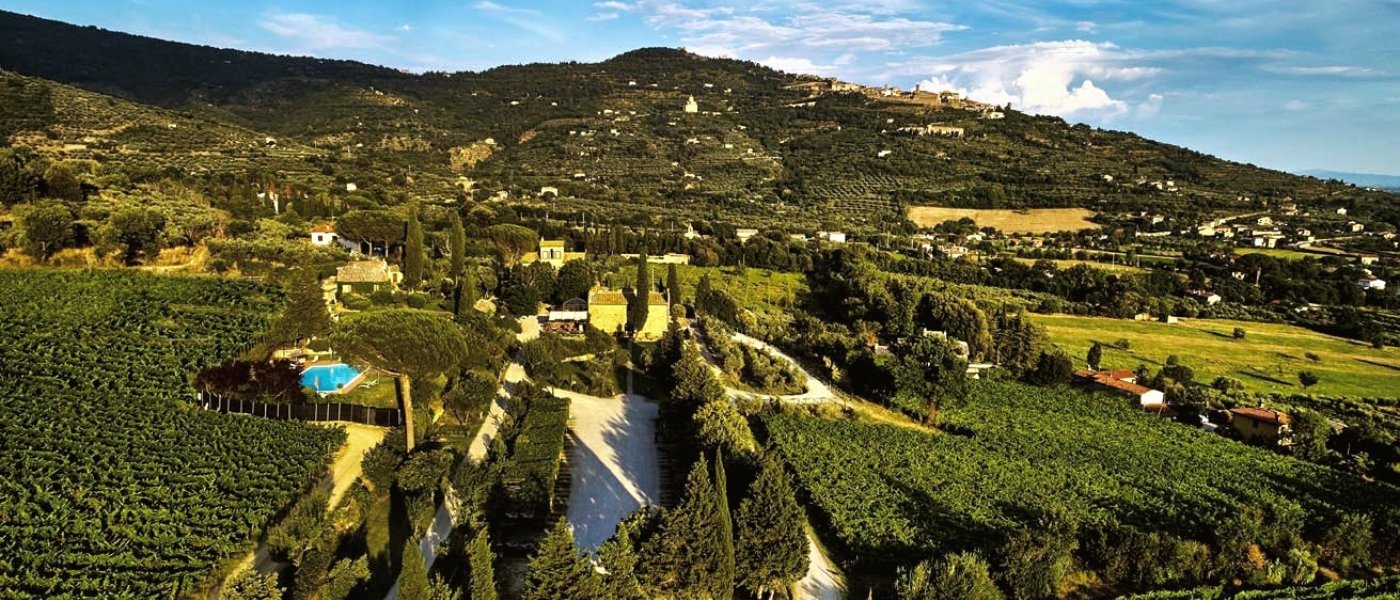 Cortona Winery - Wine Paths